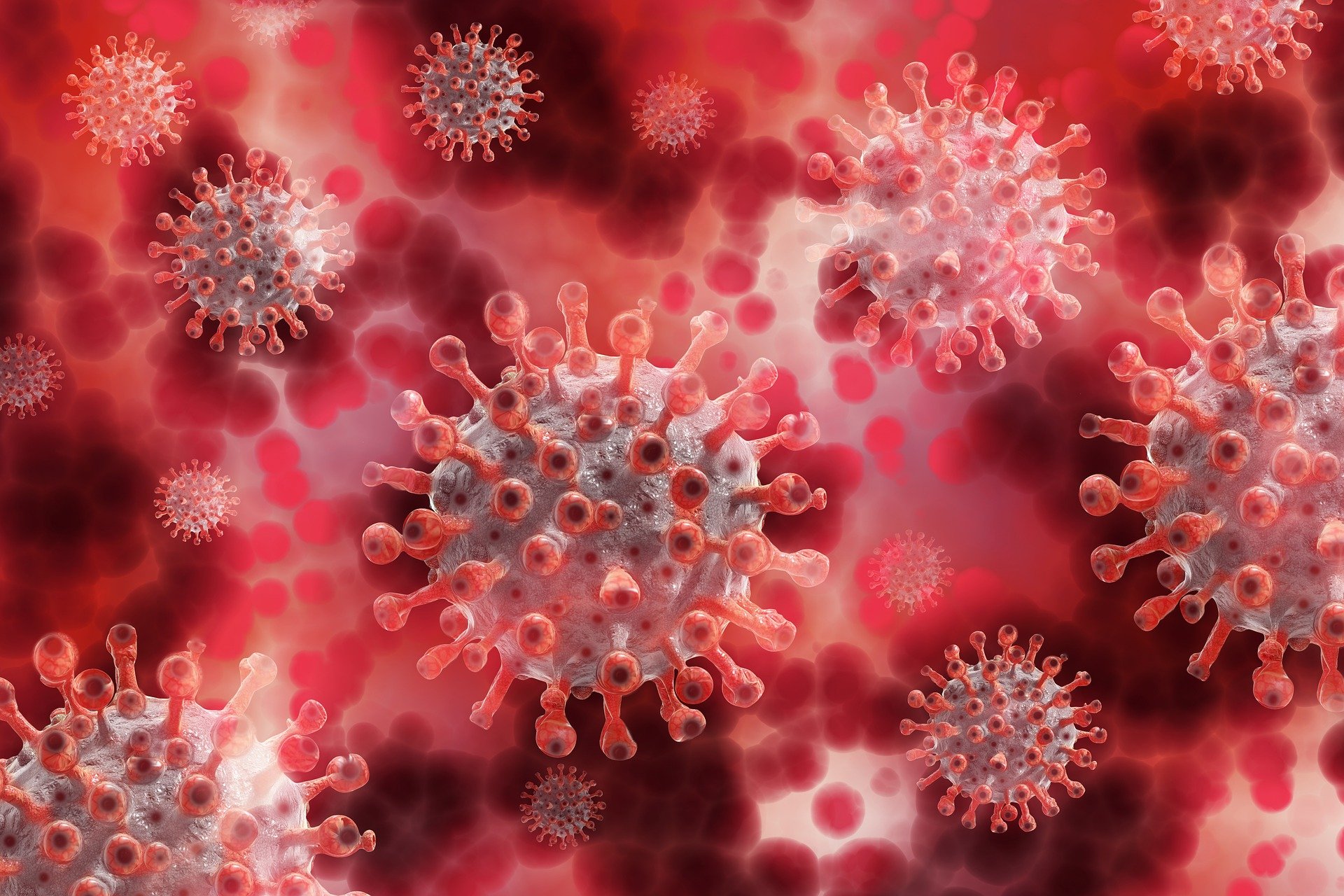 Informationen zum Coronavirus SARS-CoV-2